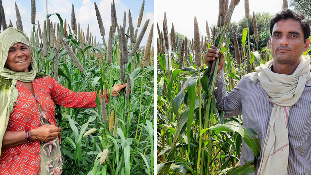जब उत्पादन बढ़ेगा, तो गाँव और गरीब परिवारों तक पौष्टिक खाना ज्यादा आसानी से पहुंच सकेगा। इससे देश की खाद्य और पोषण सुरक्षा भी मजबूत होगी।