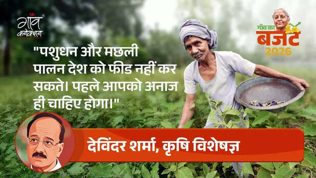 Image 2026-02-01 at 6