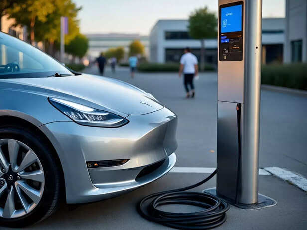 ​India’s self-reliance depends on critical minerals for EVs​