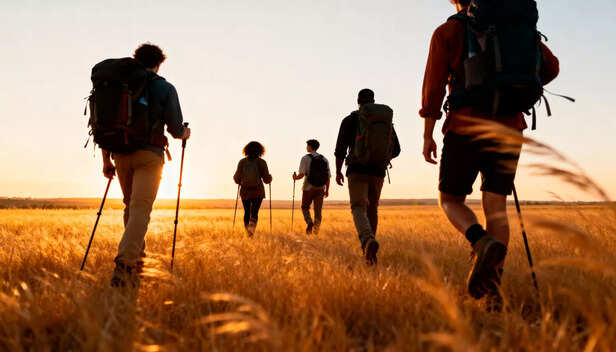 Why You Should Walk Daily