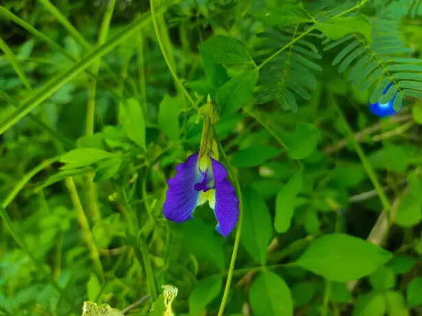 Stress and poor sleep often show up as hair fall