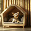 Can You Keep a Dog in a Small Apartment?