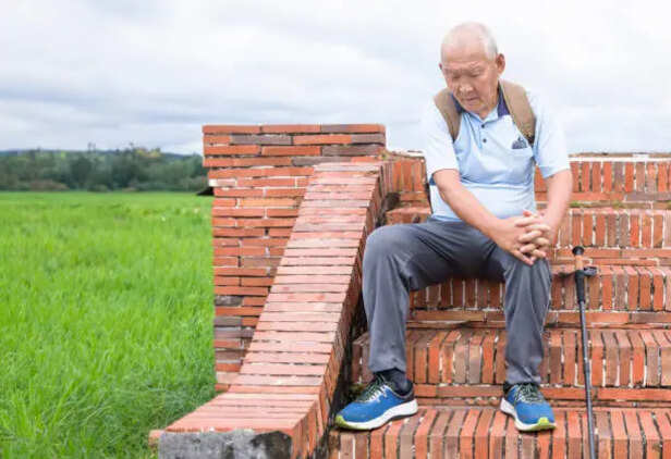 Chair exercises that support everyday mobility