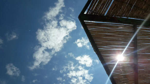 Let daylight guide your sleep rhythm naturally.