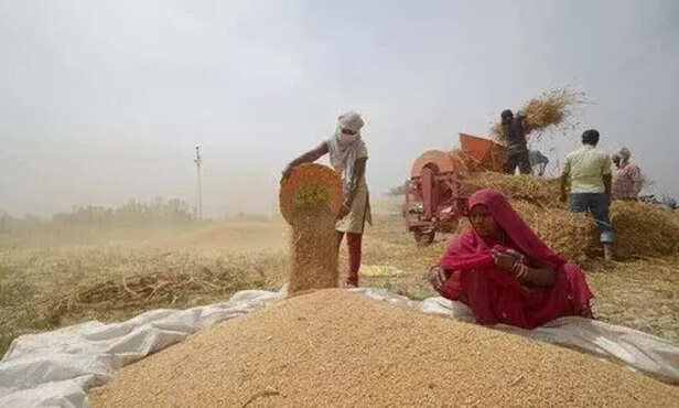 उत्तर प्रदेश में पंजीकरण से लेकर भुगतान तक की किसानों के लिए पूरी जानकारी।