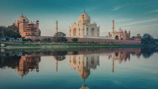 स्टडी में दिल्ली और उससे आगे आगरा-मथुरा जैसी जगहों पर मछलियाँ बहुत कम मिलीं।