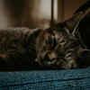Sleeping healthy is must