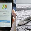 Google Maps Fooled Me: Man Takes Wrong Turn And Falls In A River ...