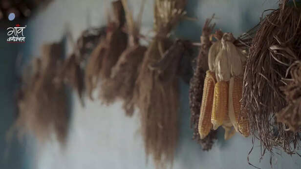 आज सुंदरियाबाई सिर्फ बीज बचाने वाली किसान नहीं रहीं, बल्कि एक प्रेरणा बन चुकी हैं।