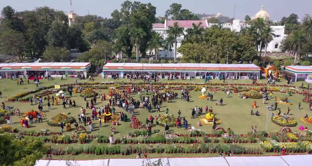 शोभाकार एवं औषधीय पौधे