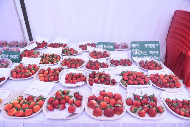 शहरी और ग्रामीण क्षेत्रों के लिए उपयोगी प्रदर्शनी