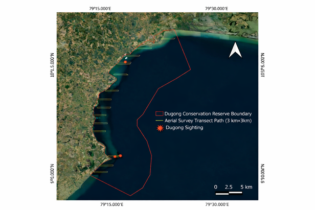 जागरूकता कार्यक्रमों और संरक्षण योजनाओं में उनकी भागीदारी से डुगोंग के लिए सुरक्षित समुद्री क्षेत्र बनाए जा रहे हैं।