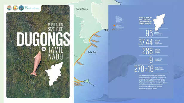वन्यजीव संस्थान भारत (WII) और तमिलनाडु वन विभाग ने  रिपोर्ट जारी की है।