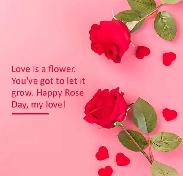 Happy Rose Day 2026 Wishes, Messages, SMS, Quotes, Images, Instagram captions &amp; WhatsApp Status