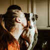 Playtime is therapy for pets