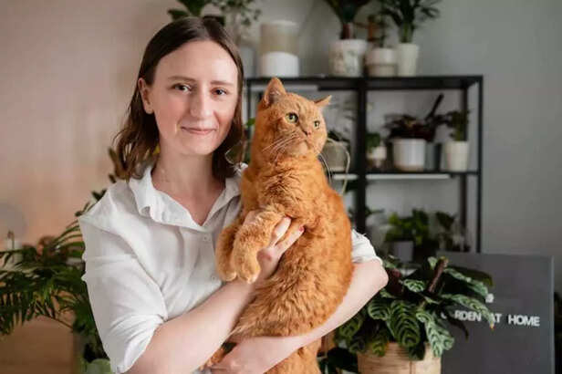 A calm home makes a confident pet..