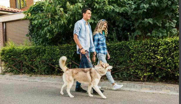 Routine brings comfort pets cannot explain in words..