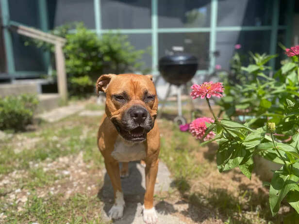 bsky | @tframpton.bsky.social | Inside the ChatGPT Image Trends Taking Over Social Media