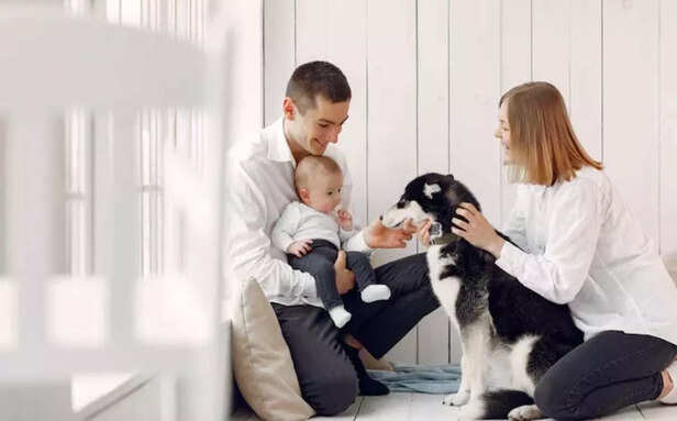 Gen Z includes pets in everyday life..