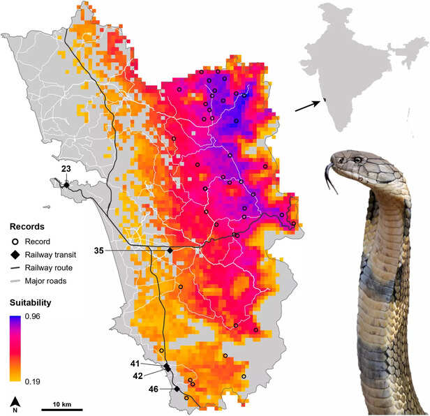 गोवा में पश्चिमी घाट किंग कोबरा का अनुमानित वितरण।