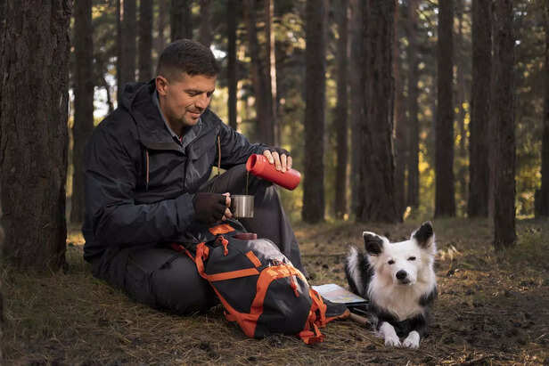 Safe Hiking With Dog In Nature