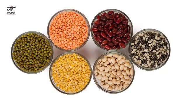पोषण, खेती और परंपरा का अनमोल खजाना होती हैं दालें।