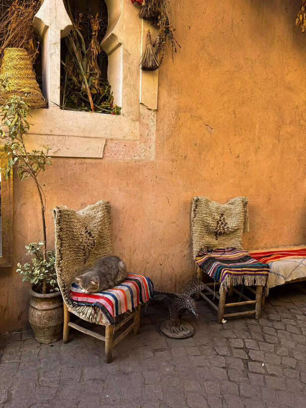 Pexels | Morocco’s Tourism Boom