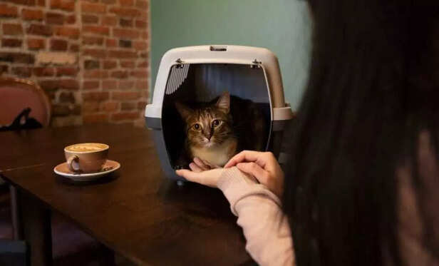 Safety matters, but so does freedom..