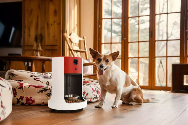 Smart Pet Feeder Supporting Routine and Calm Behavior