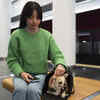 Stress Free Air Travel Tips For Pet