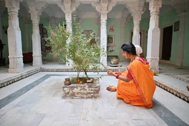 Peaceful diya flame near Holy Basil