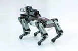 Was This Innovation Real? The Robot Dog Video That Changed Everything