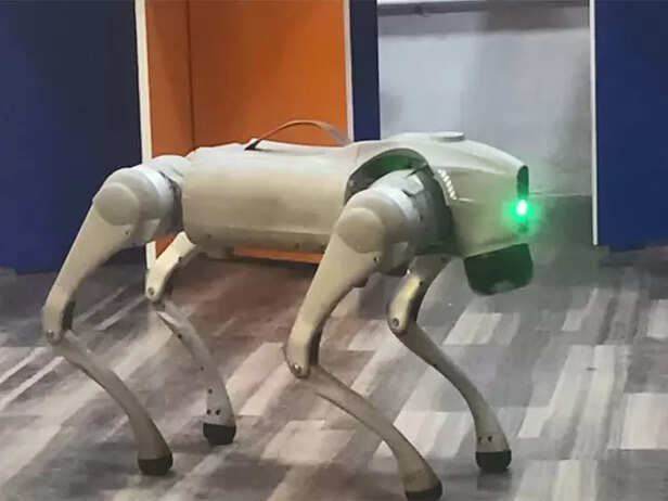 Coimbatore engineers develop AI-powered dog robot for multi-tasking