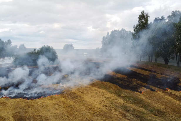 पराली प्रोटेक्शन फोर्स और सख्त कार्रवाई