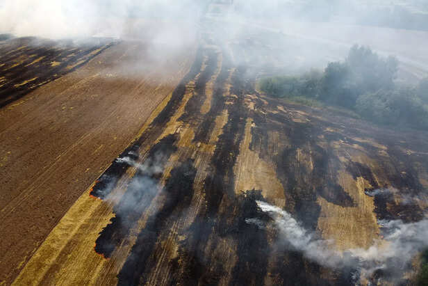 जुर्माना और जागरूकता दोनों पर जोर