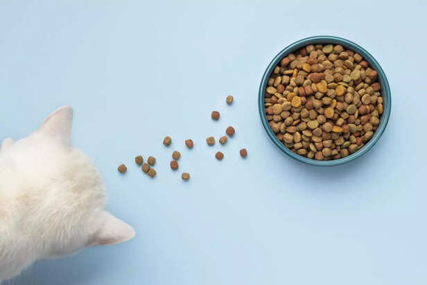 Natural Protein Sources For Pets