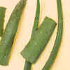 Aloe Vera for Calm