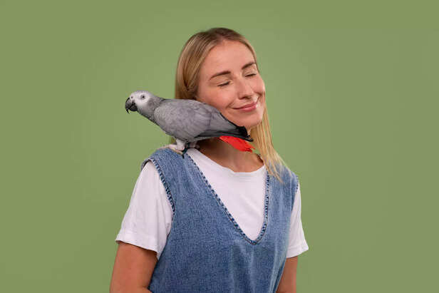 Playful Parrot Expressing Pure Joy