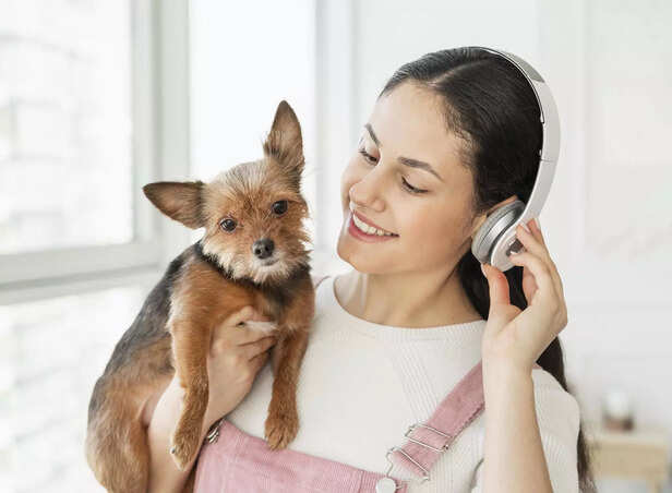 Creating Calm: Music Enrichment For Pets