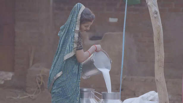 शाकाहारी खाने से मिलेगा प्रोटीन