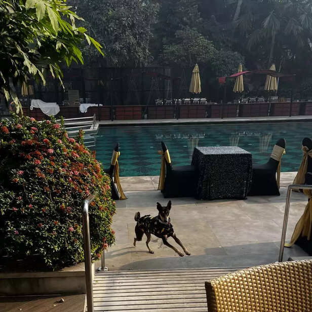 Instagram | @thumakti.thumki | Thumki Runs This Hotel, and Honestly, We’re Obsessed