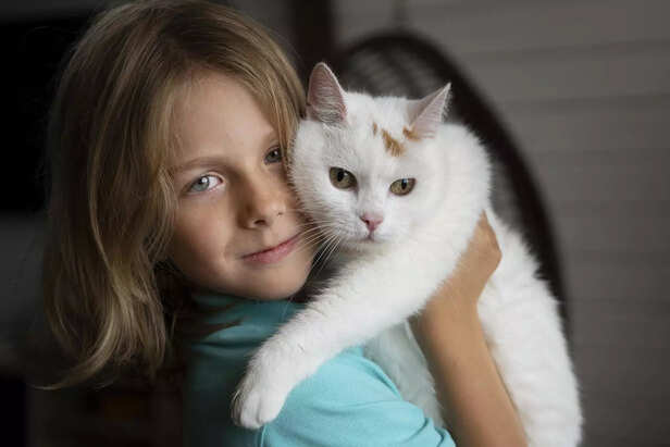 Calm Cat Bonding With An Autistic Child Indoor
