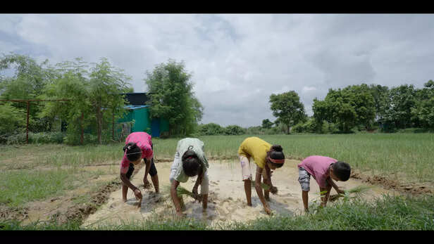 खेत-खलिहानों में महिलाएं पुरुषों से ज्यादा मेहनत करती हैं, लेकिन जब भी 'किसान' शब्द आता है, हमारे दिमाग में सिर्फ आदमी की छवि क्यों उभरती है?