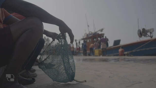 टूना मछली का ‘बैंक’