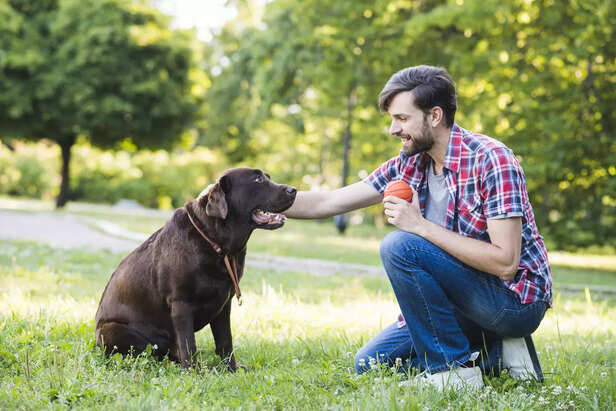 Dog Playing Joyfully with It's Favorite Person