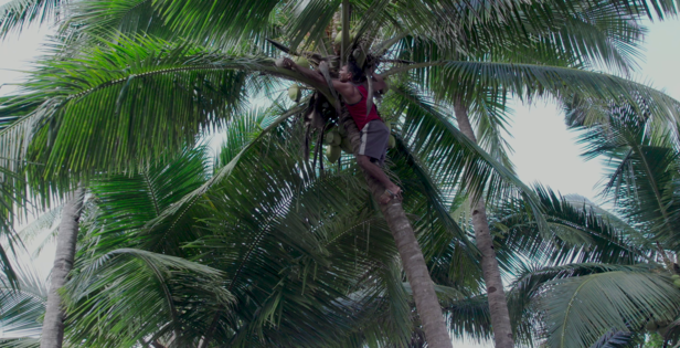 पहले गाँव के युवा काम की तलाश में शहरों की भीड़ का हिस्सा बन रहे थे लेकिन अब नहीं ।