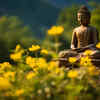 Purify the Mind Through Meditation