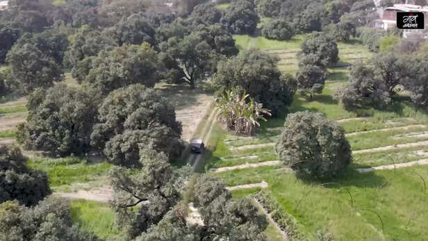 आम का बाग