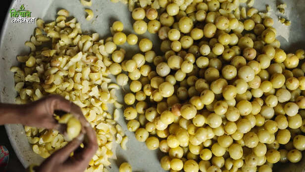 ₹15 से ₹250 तक का सफर