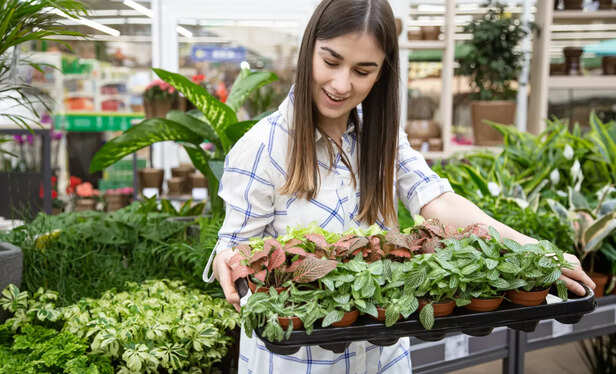 7 Balcony Vegetables
